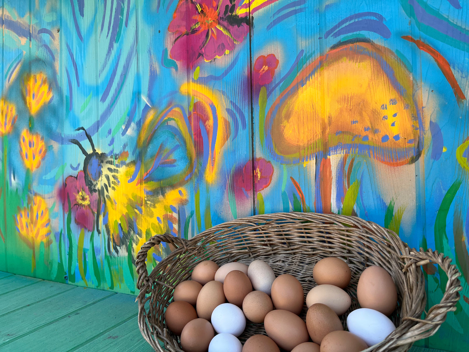 Enlightened Farms photo 16