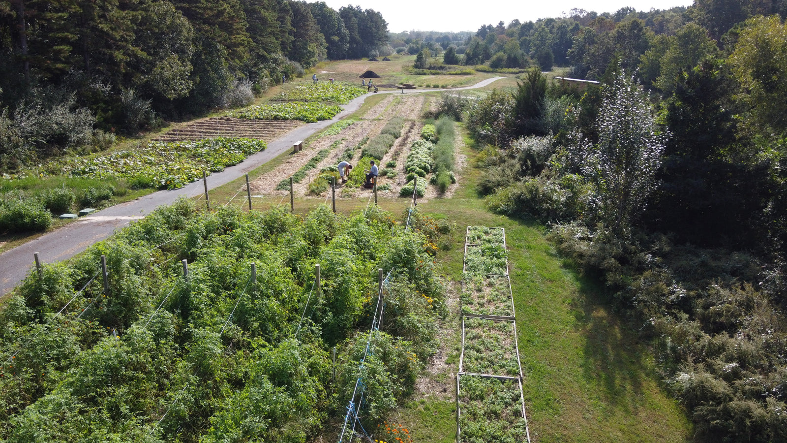 Enlightened Farms photo 2