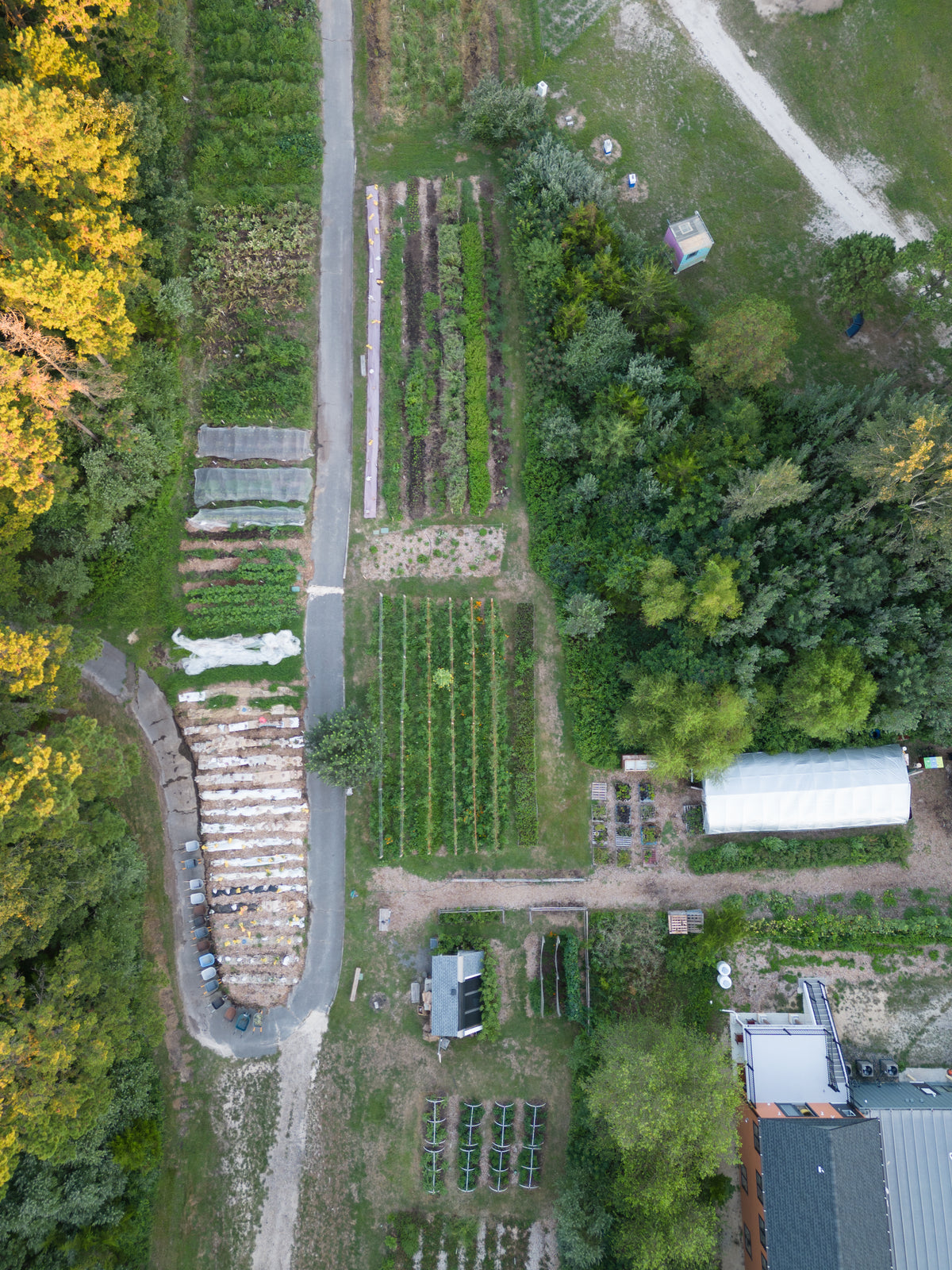 Enlightened Farms