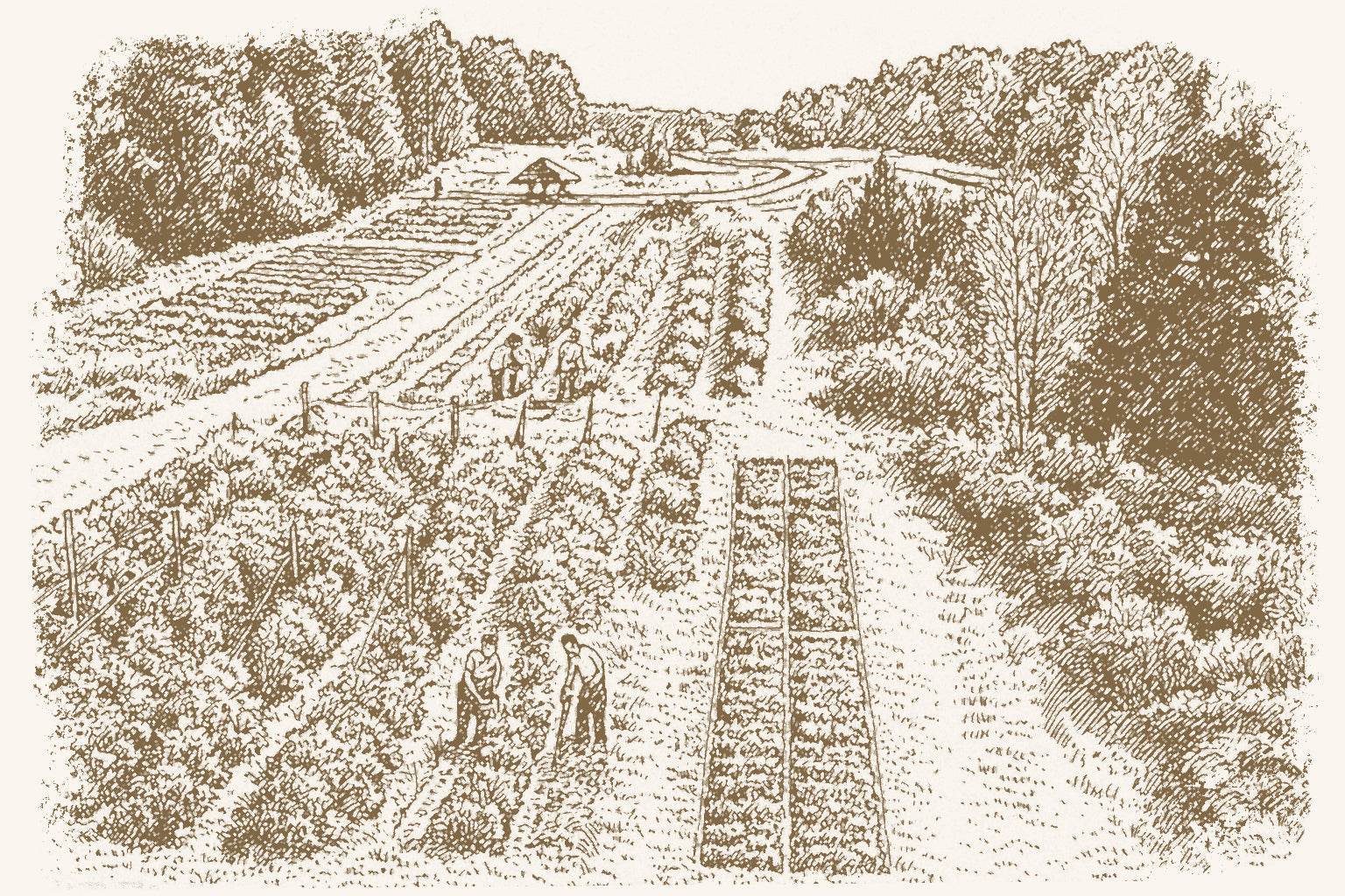 Enlightened Farms photo 8
