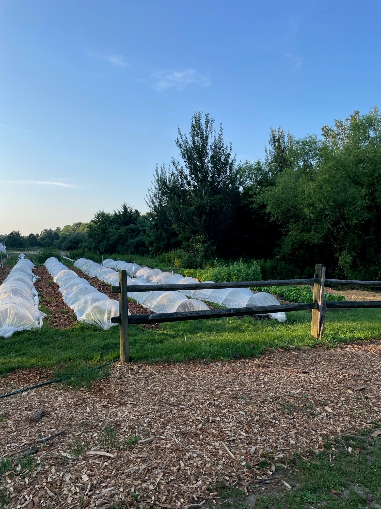 Enlightened Farms photo 9
